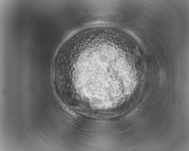 X0000073421413200608111339