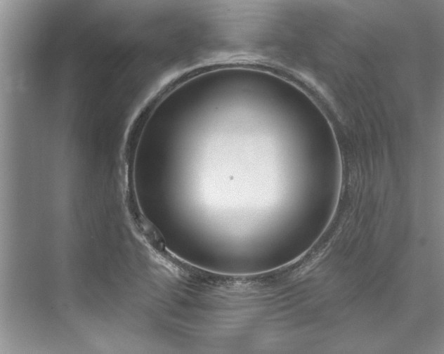 X0000073421414200608111339