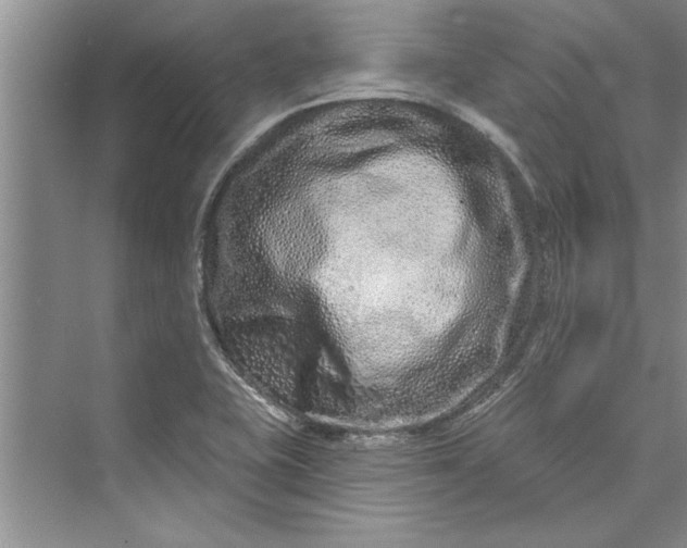 X0000073421415200608111339