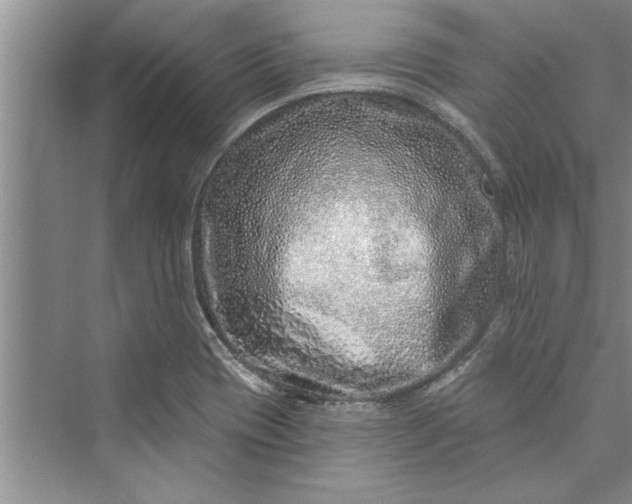 X0000073421417200608111339