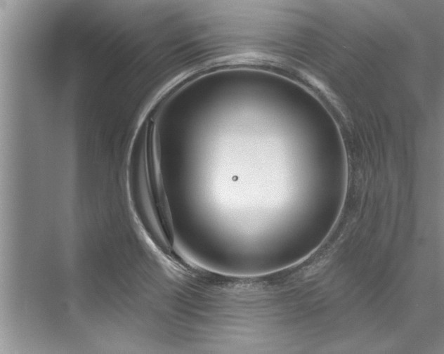 X0000073421418200608111339