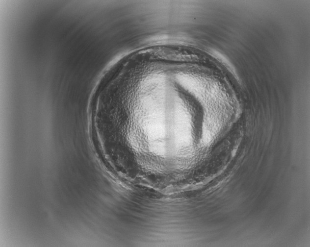 X0000073421419200608111339