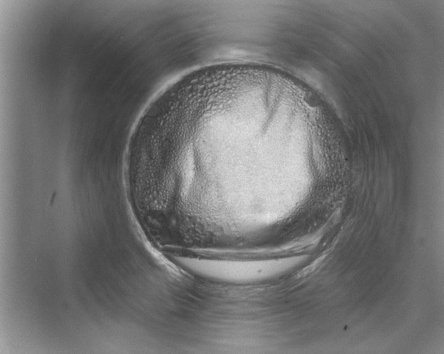 X0000073421421200608111339