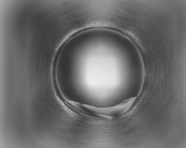 X0000073421422200608111339