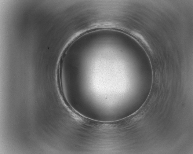 X0000073421424200608111339