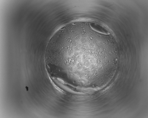 X0000073421425200608111339