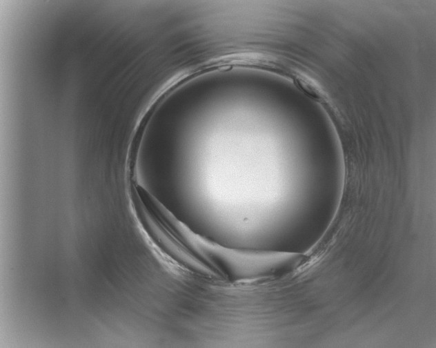 X0000073421426200608111339