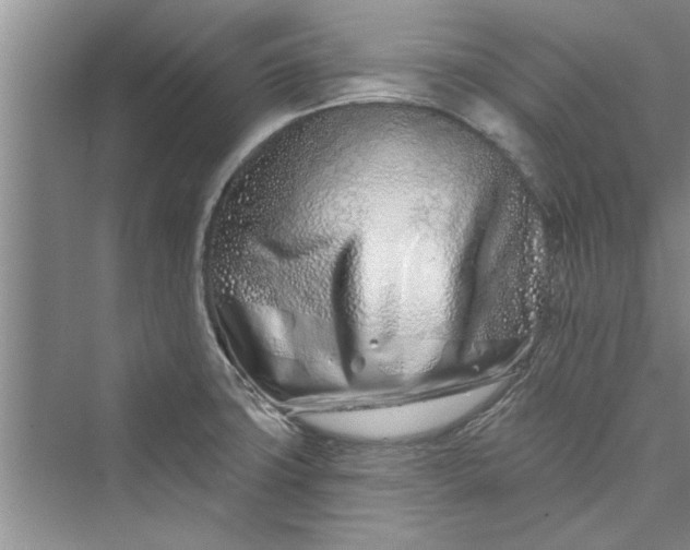 X0000073421427200608111339