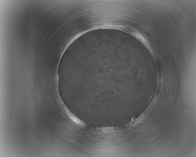 X0000073421428200608111339