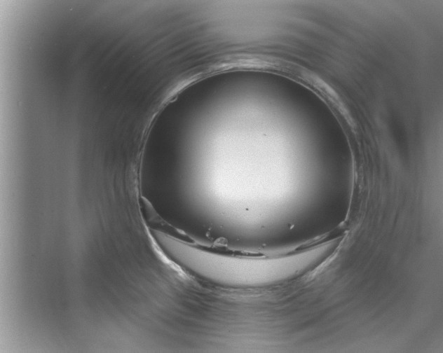 X0000073421433200608111339