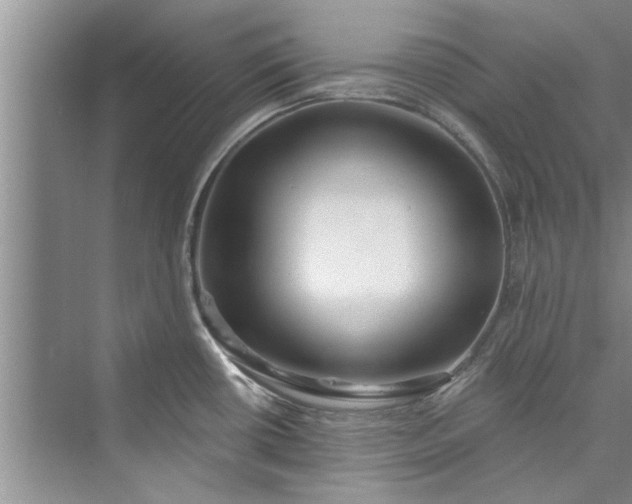 X0000073421434200608111339