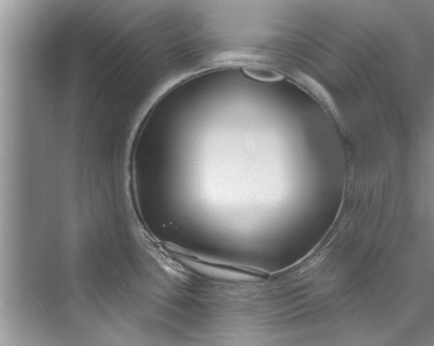 X0000073421435200608111339