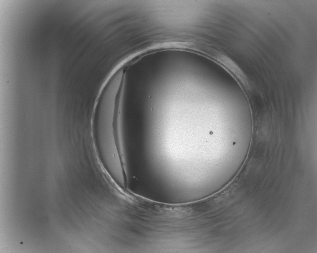 X0000073421436200608111339