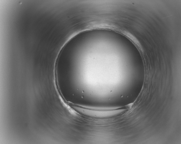 X0000073421439200608111339