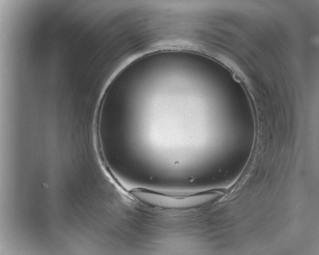 X0000073421440200608111339