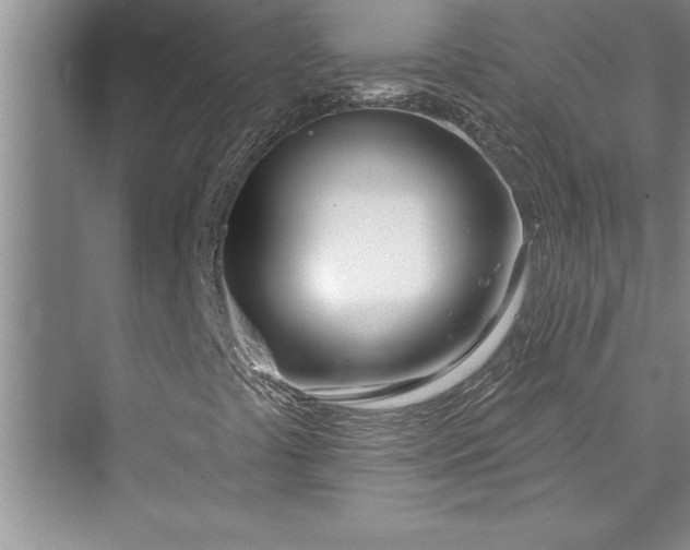 X0000073421441200608111339