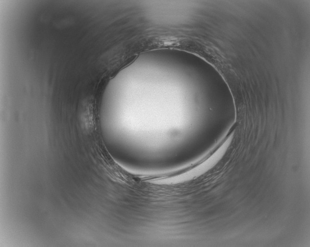 X0000073421442200608111339