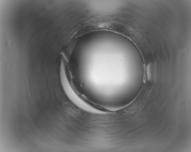 X0000073421443200608111339