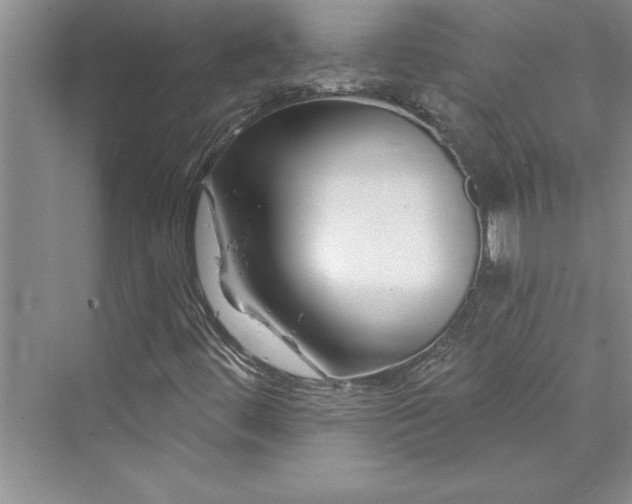 X0000073421444200608111339