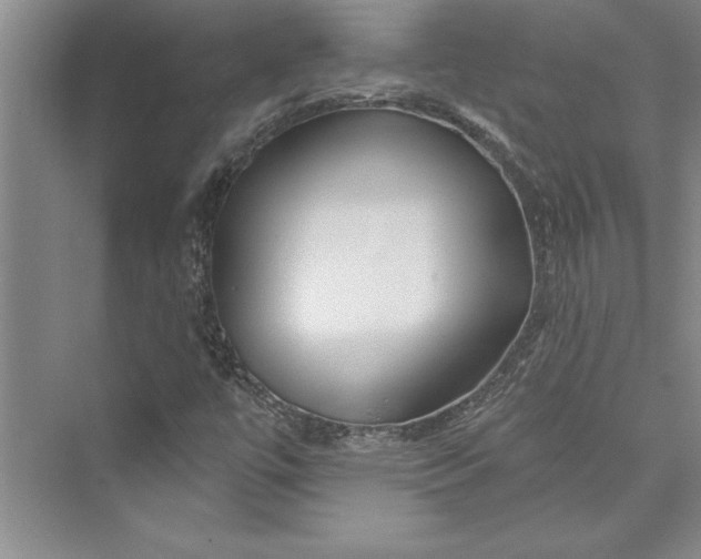 X0000073421447200608111339