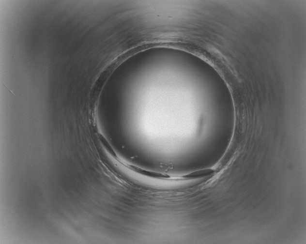 X0000073421449200608111339