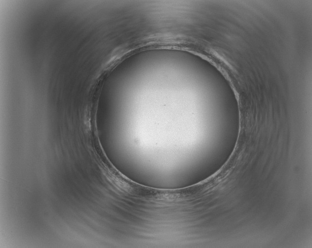 X0000073421451200608111338