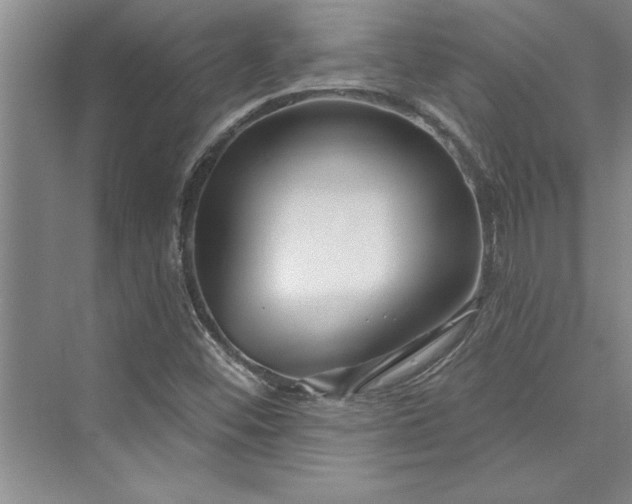 X0000073421452200608111338