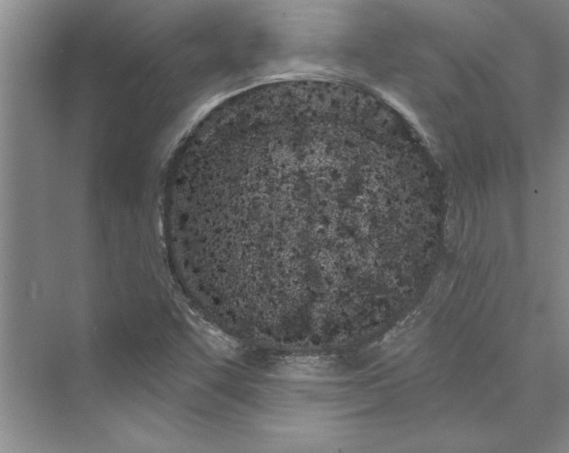 X0000073421455200608111338