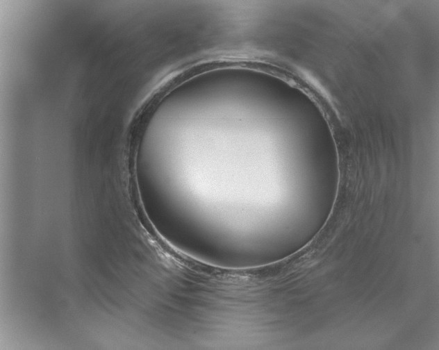 X0000073421456200608111338