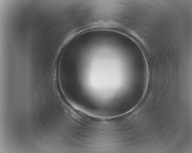 X0000073421459200608111338