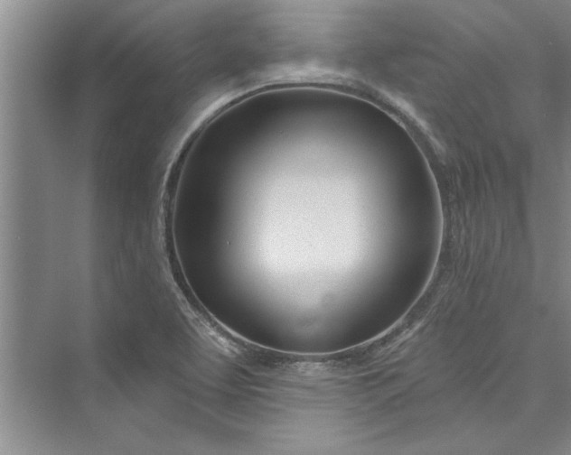 X0000073421463200608111338