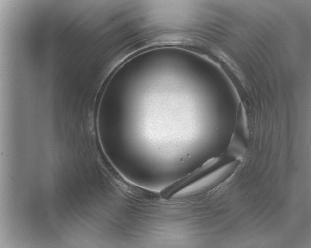 X0000073421465200608111338