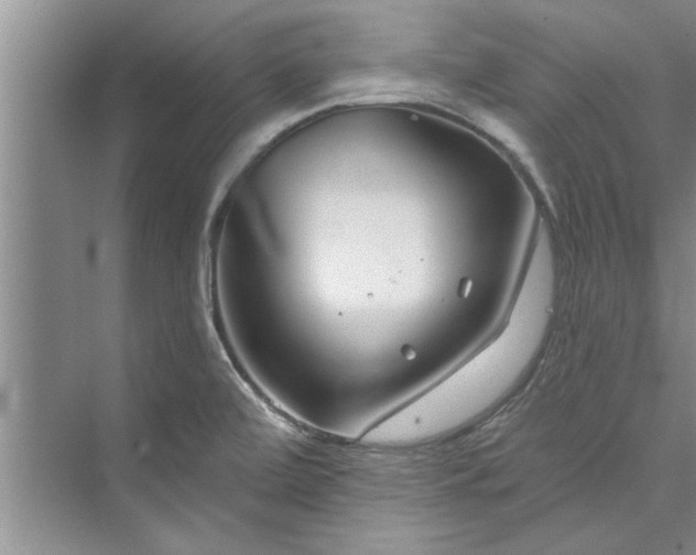 X0000073421472200608111338