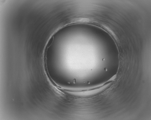 X0000073421475200608111338