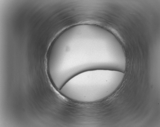 X0000073421476200608111338