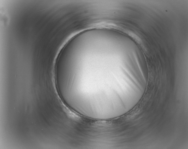 X0000073421478200608111338