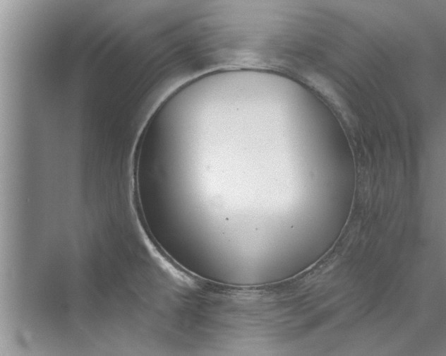 X0000073421479200608111338