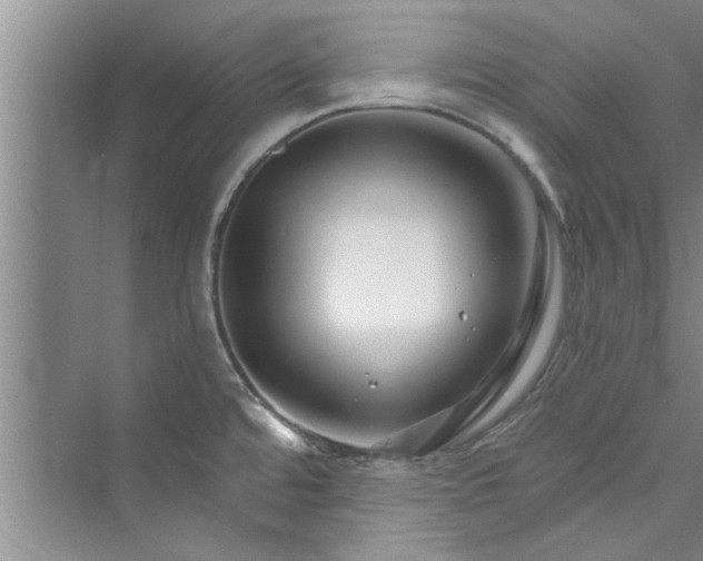 X0000073421480200608111338