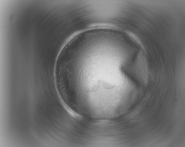 X0000073421482200608111338