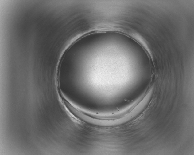 X0000073421485200608111338