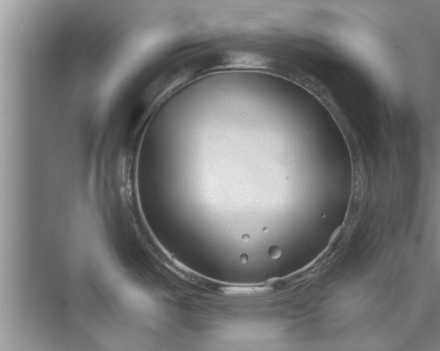 X0000073421487200608111338