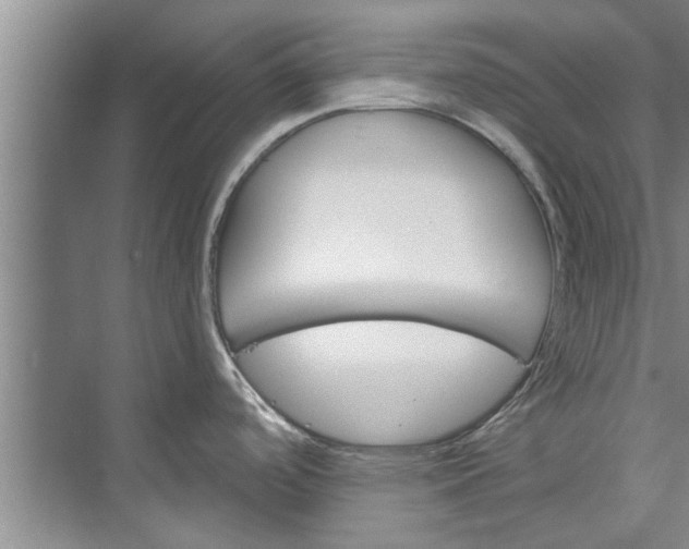 X0000073421488200608111338