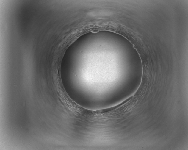 X0000073421489200608111337