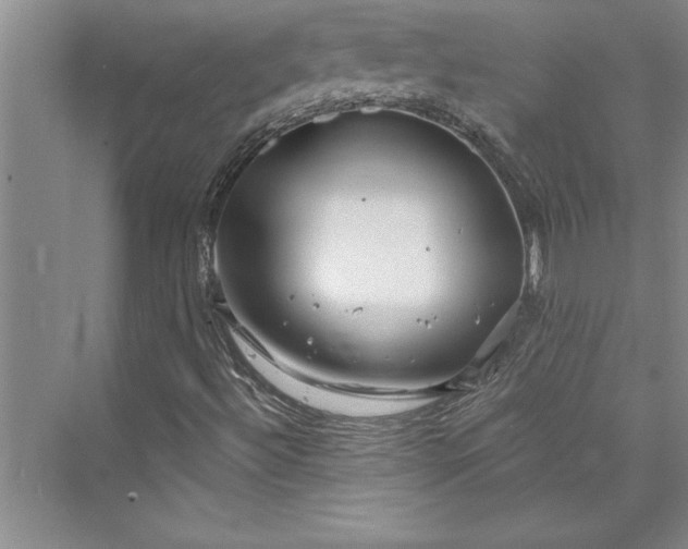 X0000073421492200608111337