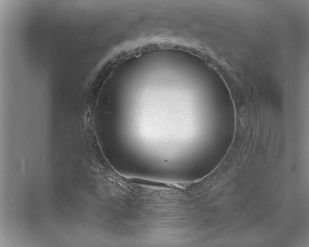 X0000073421495200608111337