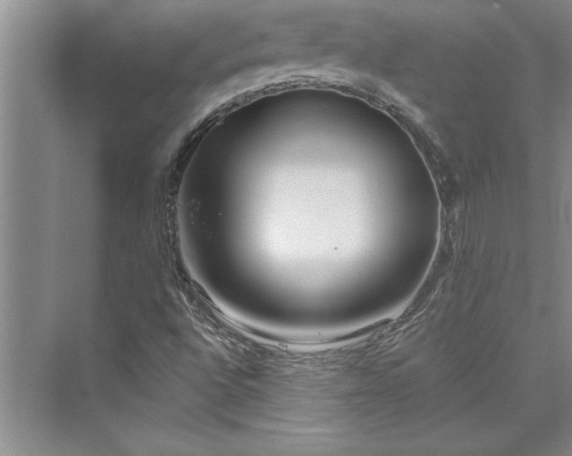 X0000073421496200608111337