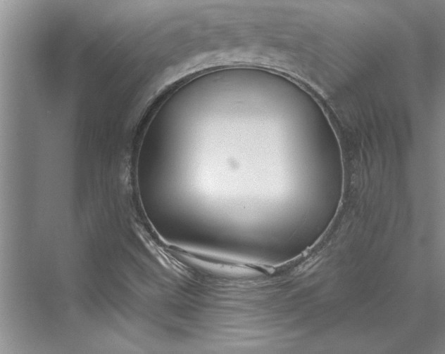 X0000073421499200608111337