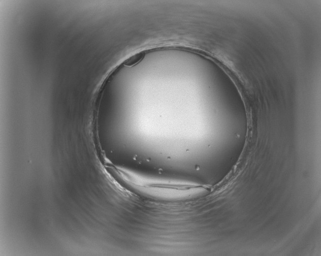 X0000073421500200608111337