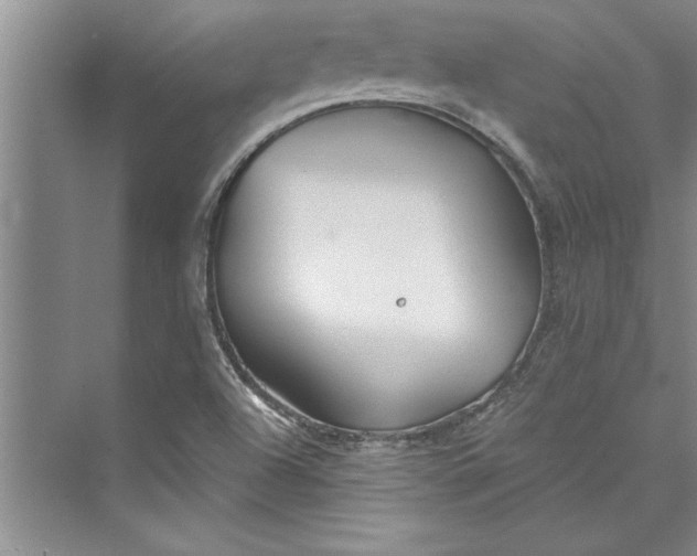 X0000073421504200608111337