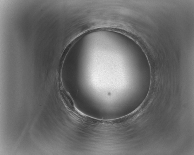 X0000073421505200608111337